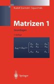 Matrizen und ihre Anwendungen 1 (eBook, PDF)