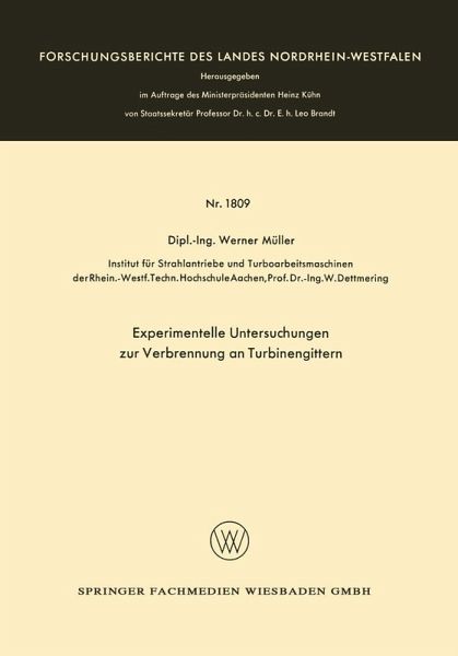 Experimentelle Untersuchungen zur Verbrennung an Turbinengittern (eBook, PDF)