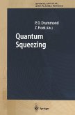 Quantum Squeezing (eBook, PDF)