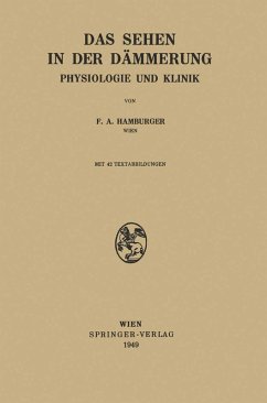 Das Sehen in der Dämmerung (eBook, PDF) - Hamburger, Franz A.