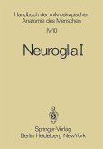 Neuroglia I (eBook, PDF)