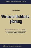 Wirtschaftlichkeitsplanung (eBook, PDF)