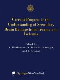 Current Progress in the Understanding of Secondary Brain Damage from Trauma and Ischemia (eBook, PDF)