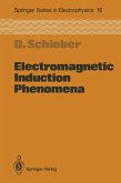 Electromagnetic Induction Phenomena (eBook, PDF)