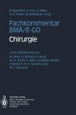 Fachkommentar BMÄ/E-GO (eBook, PDF)