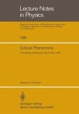 Critical Phenomena (eBook, PDF)