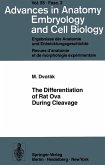 The Differentiation of Rat Ova During Cleavage (eBook, PDF)