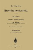 Leitfaden zur Eisenhüttenkunde (eBook, PDF)
