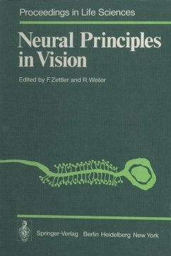 Neural Principles in Vision (eBook, PDF)