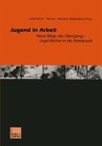 Jugend in Arbeit (eBook, PDF)