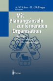 Mit Planungsinseln zur lernenden Organisation (eBook, PDF)