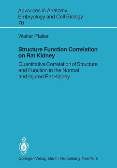 Structure Function Correlation on Rat Kidney (eBook, PDF) - Pfaller, Walter