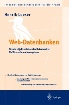 Cover Web-Datenbanken (eBook, PDF)