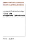 Türkei und Europäische Gemeinschaft (eBook, PDF)