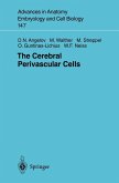 The Cerebral Perivascular Cells (eBook, PDF)