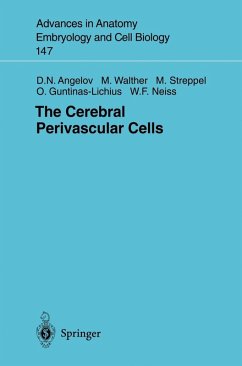 The Cerebral Perivascular Cells (eBook, PDF) - Angelov, Doychin N.; Walther, Michael; Streppel, Michael; Guntinas-Lichius, Orlando; Neiss, Wolfram F.