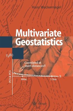 Multivariate Geostatistics (eBook, PDF) - Wackernagel, Hans
