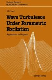 Wave Turbulence Under Parametric Excitation (eBook, PDF)