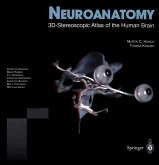 Neuroanatomy (eBook, PDF)