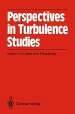 Perspectives in Turbulence Studies (eBook, PDF)