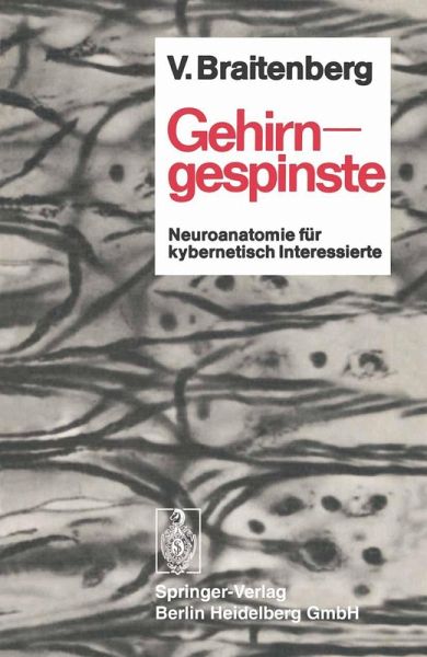 Gehirngespinste (eBook, PDF)