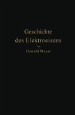 Geschichte des Elektroeisens (eBook, PDF)