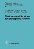 The Anatomical Substrate for Telencephalic Function (eBook, PDF)