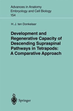 Development and Regenerative Capacity of Descending Supraspinal Pathways in Tetrapods (eBook, PDF) - Donkelaar, H. J. Ten