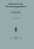 Mathematische Strömungslehre (eBook, PDF)