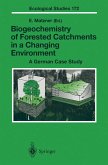 Biogeochemistry of Forested Catchments in a Changing Environment (eBook, PDF)