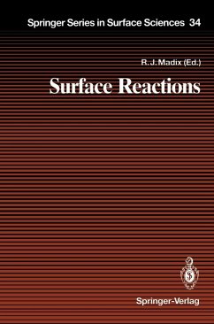 Surface Reactions (eBook, PDF)