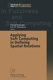 Applying Soft Computing in Defining Spatial Relations (eBook, PDF)