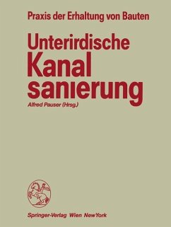 Unterirdische Kanalsanierung (eBook, PDF)