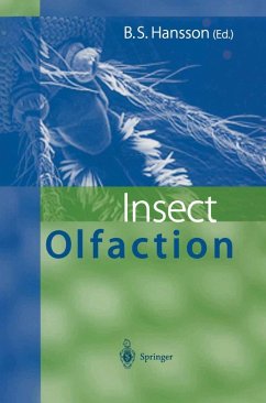 Insect Olfaction (eBook, PDF)
