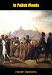 In Polish Woods (eBook, ePUB) - Bild 1