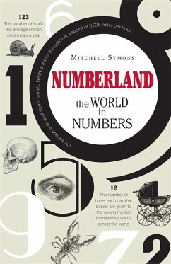 Numberland (eBook, ePUB) - Symons, Mitchell