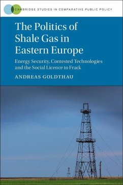 Politics of Shale Gas in Eastern Europe (eBook, ePUB) Cover Politics of Shale Gas in Eastern Europe (eBook, ePUB)