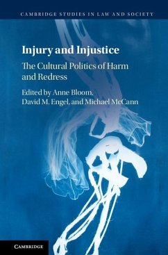 Cover Injury and Injustice (eBook, ePUB)