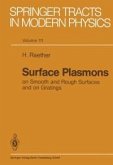 Surface Plasmons on Smooth and Rough Surfaces and on Gratings (eBook, PDF)