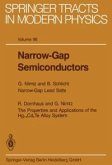 Narrow-Gap Semiconductors (eBook, PDF)