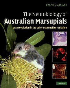 Cover Neurobiology of Australian Marsupials (eBook, ePUB)