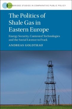 Politics of Shale Gas in Eastern Europe (eBook, PDF) - Goldthau, Andreas