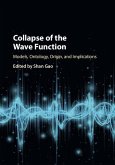 Collapse of the Wave Function (eBook, ePUB)