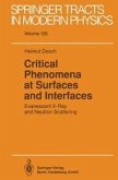 Critical Phenomena at Surfaces and Interfaces (eBook, PDF)