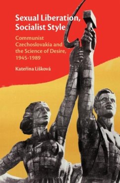 Sexual Liberation, Socialist Style (eBook, PDF) - Liskova, Katerina
