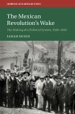 Mexican Revolution's Wake (eBook, ePUB)