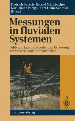 Messungen in fluvialen Systemen (eBook, PDF)
