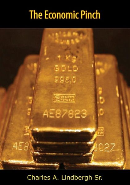 Economic Pinch (eBook, ePUB) Economic Pinch (eBook, ePUB)