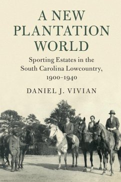 New Plantation World (eBook, ePUB) - Vivian, Daniel J.