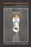 Sovereign Emergencies (eBook, ePUB) Sovereign Emergencies (eBook, ePUB)